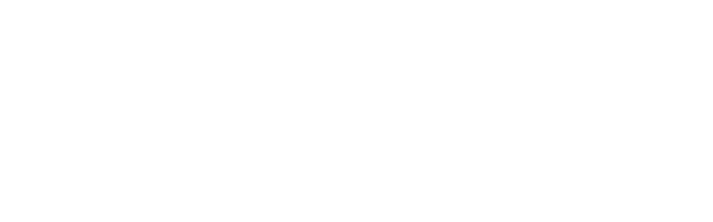 WeLearn Academy Logo
